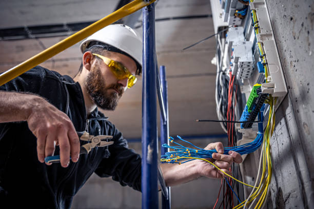 Best Electric Panel Repair  in Lake Mills, IA